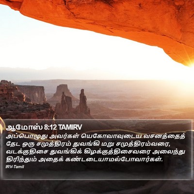 ஆமோஸ் 8:12 TAMIRV Bible Verse Image
