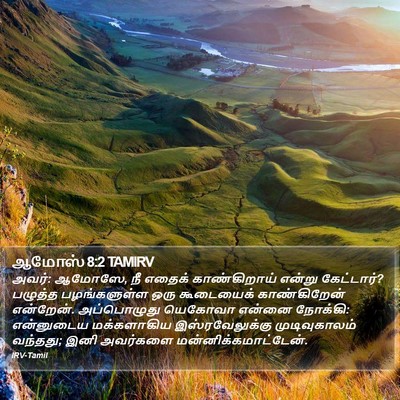 ஆமோஸ் 8:2 TAMIRV Bible Verse Image