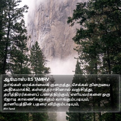 ஆமோஸ் 8:5 TAMIRV Bible Verse Image