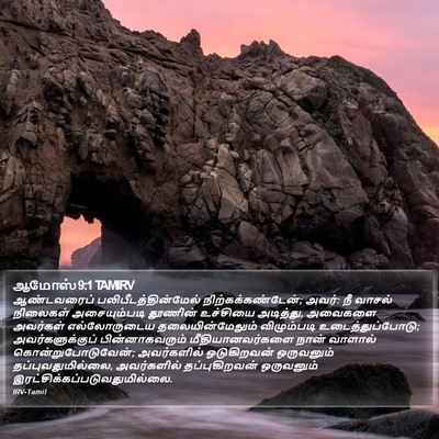 ஆமோஸ் 9:1 TAMIRV Bible Verse Image