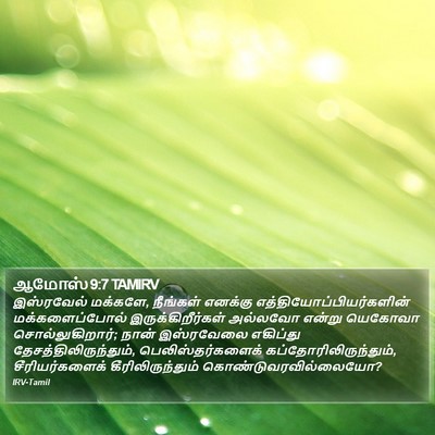 ஆமோஸ் 9:7 TAMIRV Bible Verse Image