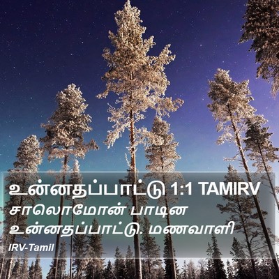 உன்னதப்பாட்டு 1:1 TAMIRV Bible Verse Image