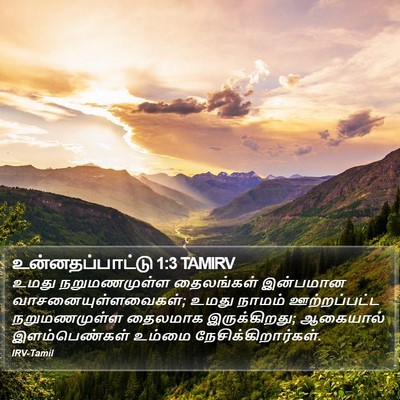 உன்னதப்பாட்டு 1:3 TAMIRV Bible Verse Image