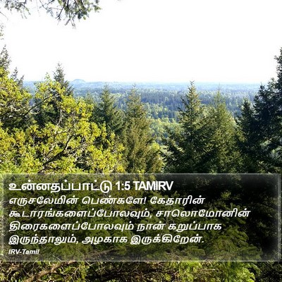 உன்னதப்பாட்டு 1:5 TAMIRV Bible Verse Image