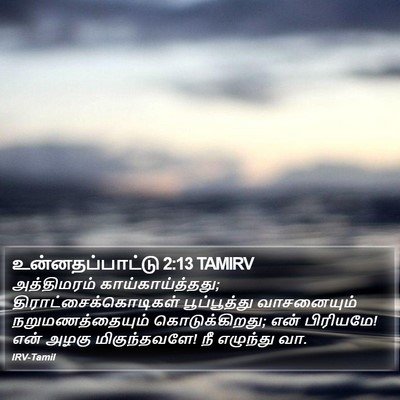 உன்னதப்பாட்டு 2:13 TAMIRV Bible Verse Image