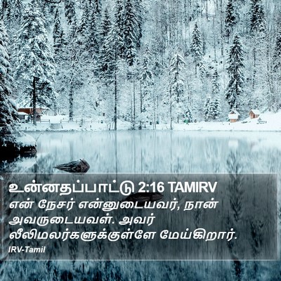 உன்னதப்பாட்டு 2:16 TAMIRV Bible Verse Image