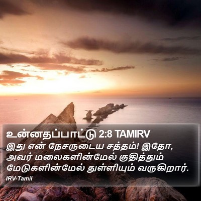 உன்னதப்பாட்டு 2:8 TAMIRV Bible Verse Image