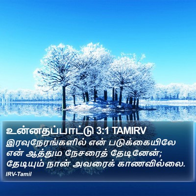 உன்னதப்பாட்டு 3:1 TAMIRV Bible Verse Image