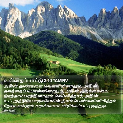 உன்னதப்பாட்டு 3:10 TAMIRV Bible Verse Image
