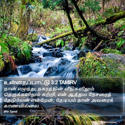 உன்னதப்பாட்டு 3:2 TAMIRV Bible Verse Image