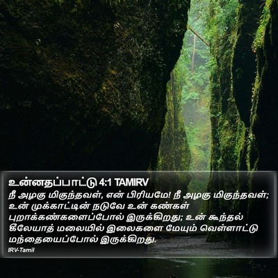 உன்னதப்பாட்டு 4:1 TAMIRV Bible Verse Image