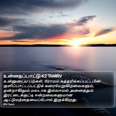 உன்னதப்பாட்டு 4:2 TAMIRV Bible Verse Image