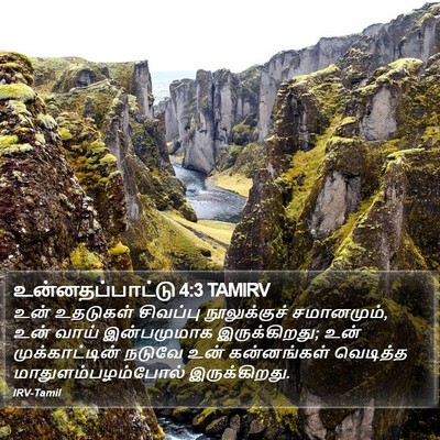 உன்னதப்பாட்டு 4:3 TAMIRV Bible Verse Image