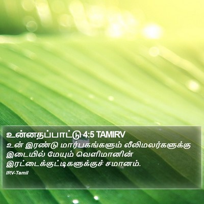 உன்னதப்பாட்டு 4:5 TAMIRV Bible Verse Image