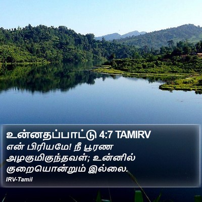 உன்னதப்பாட்டு 4:7 TAMIRV Bible Verse Image