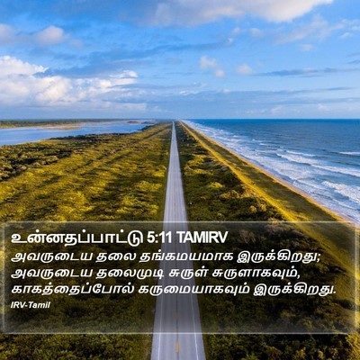 உன்னதப்பாட்டு 5:11 TAMIRV Bible Verse Image