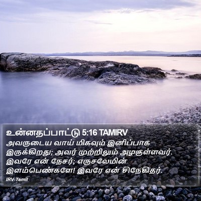 உன்னதப்பாட்டு 5:16 TAMIRV Bible Verse Image