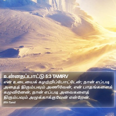 உன்னதப்பாட்டு 5:3 TAMIRV Bible Verse Image