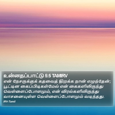 உன்னதப்பாட்டு 5:5 TAMIRV Bible Verse Image