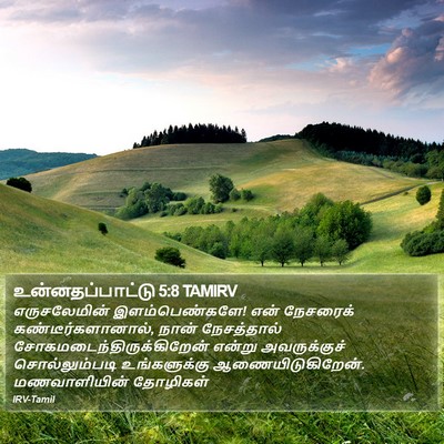 உன்னதப்பாட்டு 5:8 TAMIRV Bible Verse Image