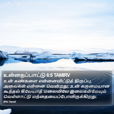 உன்னதப்பாட்டு 6:5 TAMIRV Bible Verse Image