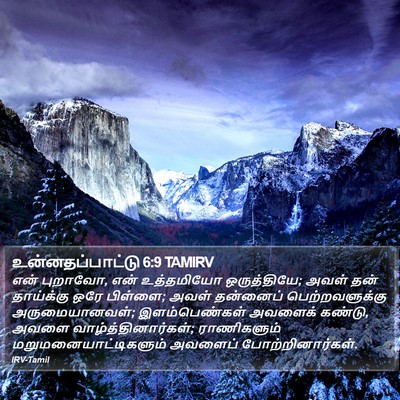 உன்னதப்பாட்டு 6:9 TAMIRV Bible Verse Image