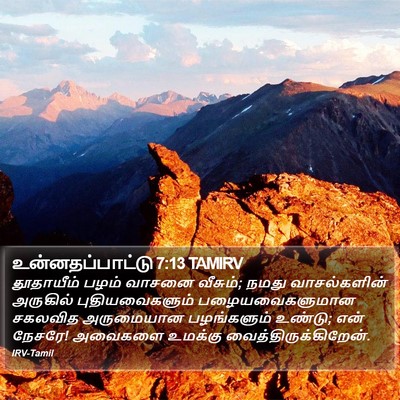 உன்னதப்பாட்டு 7:13 TAMIRV Bible Verse Image