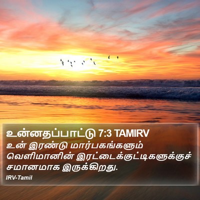 உன்னதப்பாட்டு 7:3 TAMIRV Bible Verse Image
