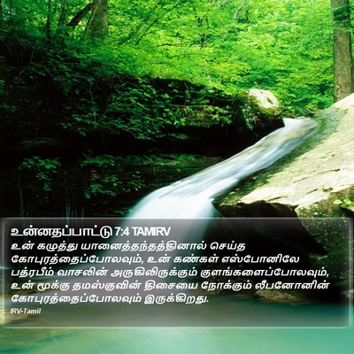 உன்னதப்பாட்டு 7:4 TAMIRV Bible Verse Image