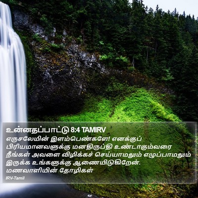 உன்னதப்பாட்டு 8:4 TAMIRV Bible Verse Image