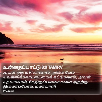உன்னதப்பாட்டு 8:9 TAMIRV Bible Verse Image