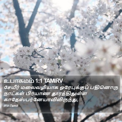 உபாகமம் 1:1 TAMIRV Bible Verse Image