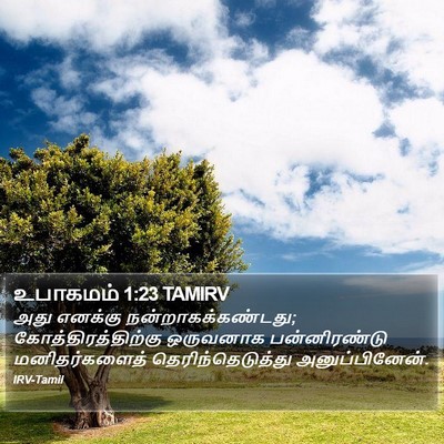 உபாகமம் 1:23 TAMIRV Bible Verse Image