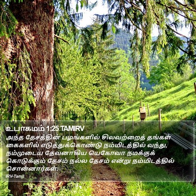 உபாகமம் 1:25 TAMIRV Bible Verse Image