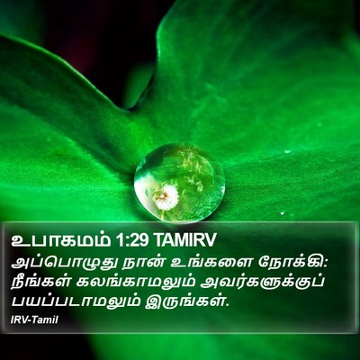 உபாகமம் 1:29 TAMIRV Bible Verse Image
