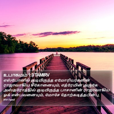 உபாகமம் 1:3 TAMIRV Bible Verse Image