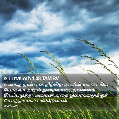உபாகமம் 1:38 TAMIRV Bible Verse Image