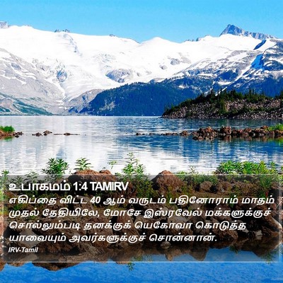 உபாகமம் 1:4 TAMIRV Bible Verse Image