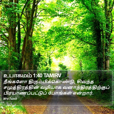உபாகமம் 1:40 TAMIRV Bible Verse Image
