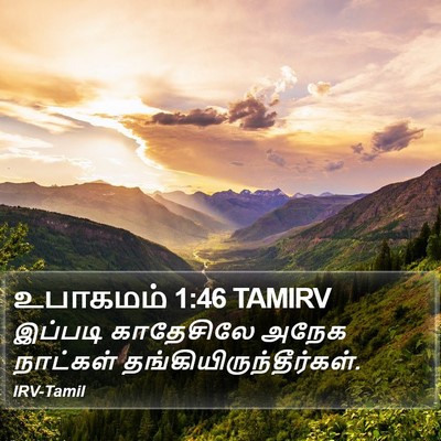 உபாகமம் 1:46 TAMIRV Bible Verse Image