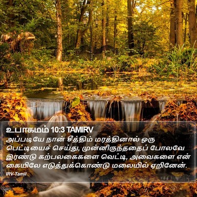 உபாகமம் 10:3 TAMIRV Bible Verse Image