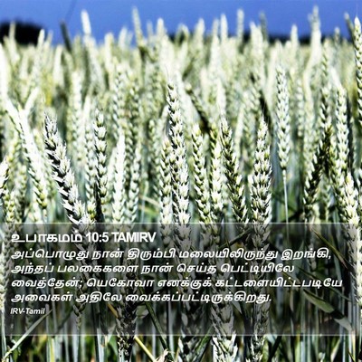 உபாகமம் 10:5 TAMIRV Bible Verse Image
