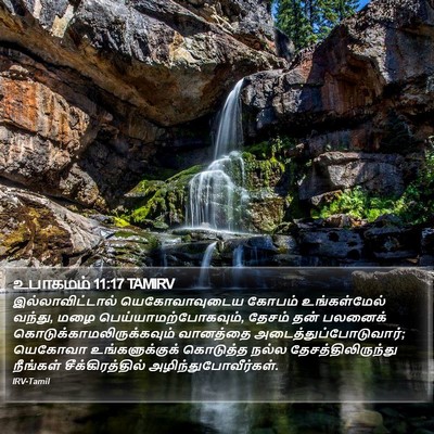 உபாகமம் 11:17 TAMIRV Bible Verse Image