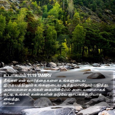 உபாகமம் 11:19 TAMIRV Bible Verse Image