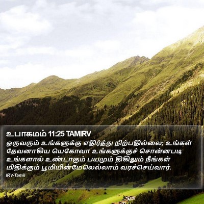 உபாகமம் 11:25 TAMIRV Bible Verse Image