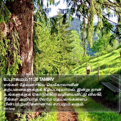 உபாகமம் 11:28 TAMIRV Bible Verse Image