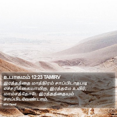 உபாகமம் 12:23 TAMIRV Bible Verse Image