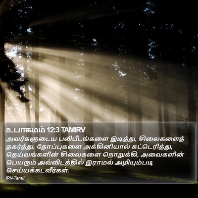 உபாகமம் 12:3 TAMIRV Bible Verse Image