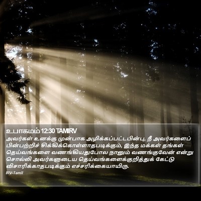 உபாகமம் 12:30 TAMIRV Bible Verse Image