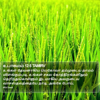 உபாகமம் 12:5 TAMIRV Bible Verse Image